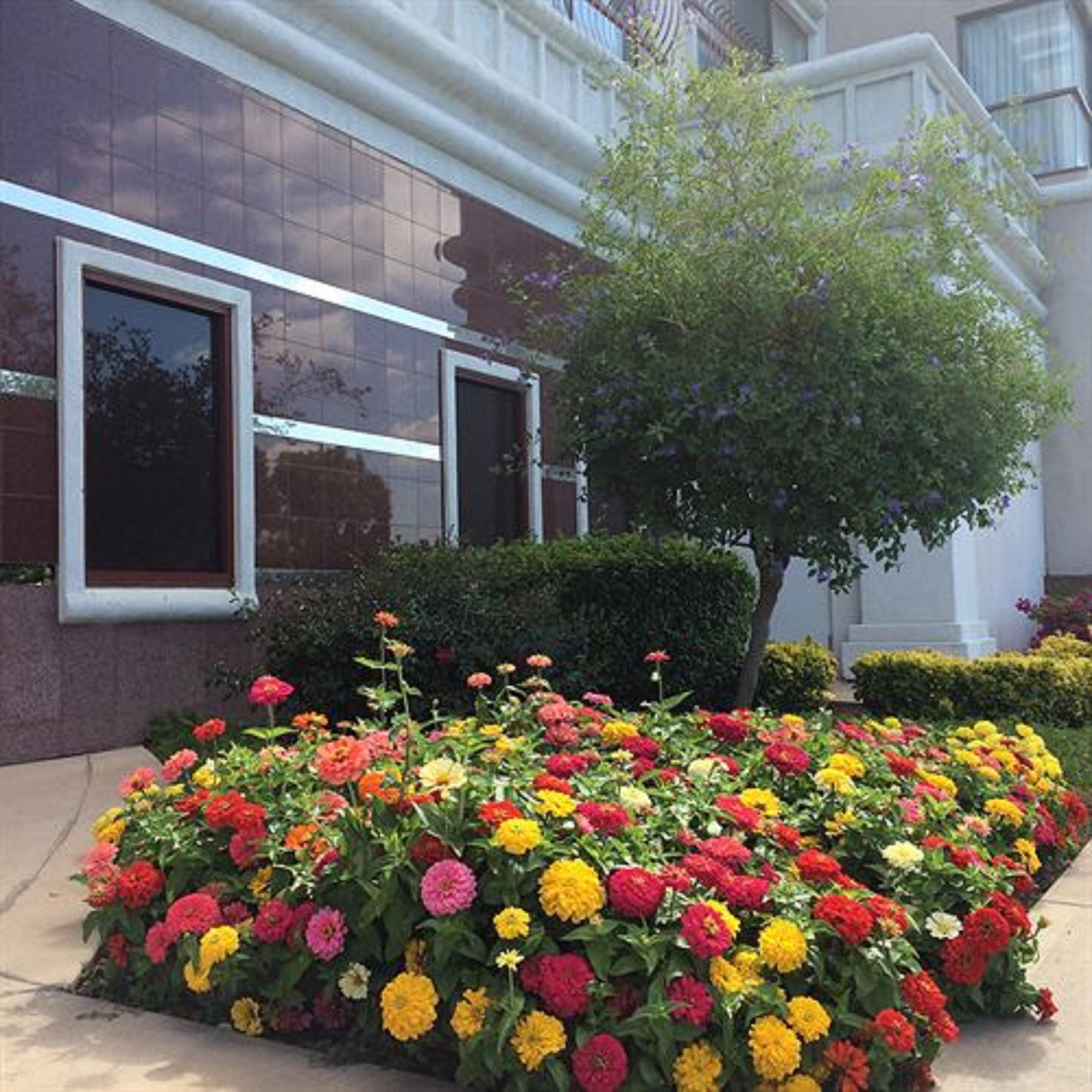 Grand Hotel Sunnyvale Dış mekan fotoğraf